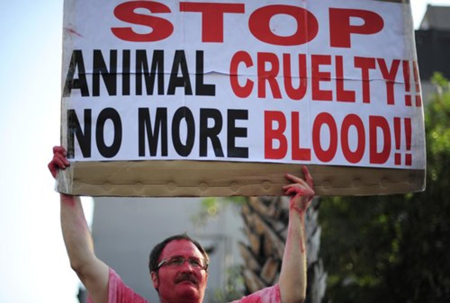 Bullfighting protest in Spain