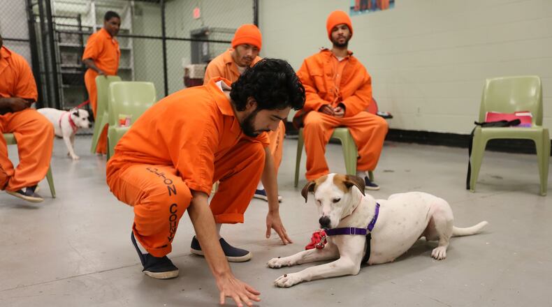 Leah was a difficult dog to train. Through his experience working with her, Patrick Rodríguez has learned how to be patient and humble. Miguel Martinez/MundoHispánico