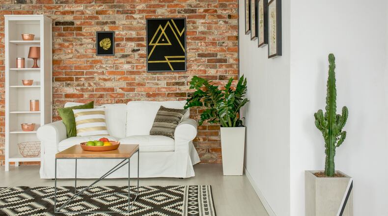 Remember: plants, pillows and paint. (Dreamstime)