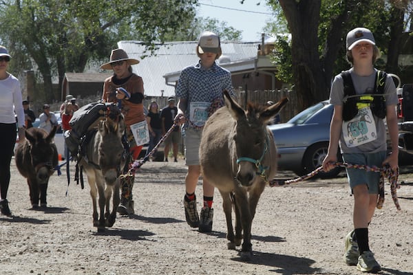 Pack burros and their human companions race through the streets of a former mining town and across backcountry desert trails in Cerrillos, N.M., on Saturday, May 3, 2025. (AP Photo/Morgan Lee)