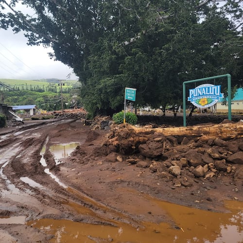 A roadway is washed out by mud on Monday, Aug. 17, 2026, in Naalehu, Hawaii, following heavy rains from Hurricane Lala. (Aina Akamu via AP)
