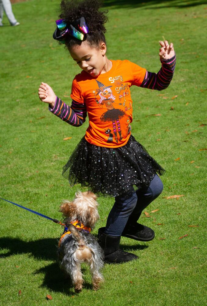 PHOTOS: Fall Jonquil Festival 2019