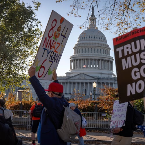 Demonstrators opposed to President Donald Trump protest near the Capitol on Wednesday, Nov. 5, 2025, in Washington. (AP Photo/Mark Schiefelbein)