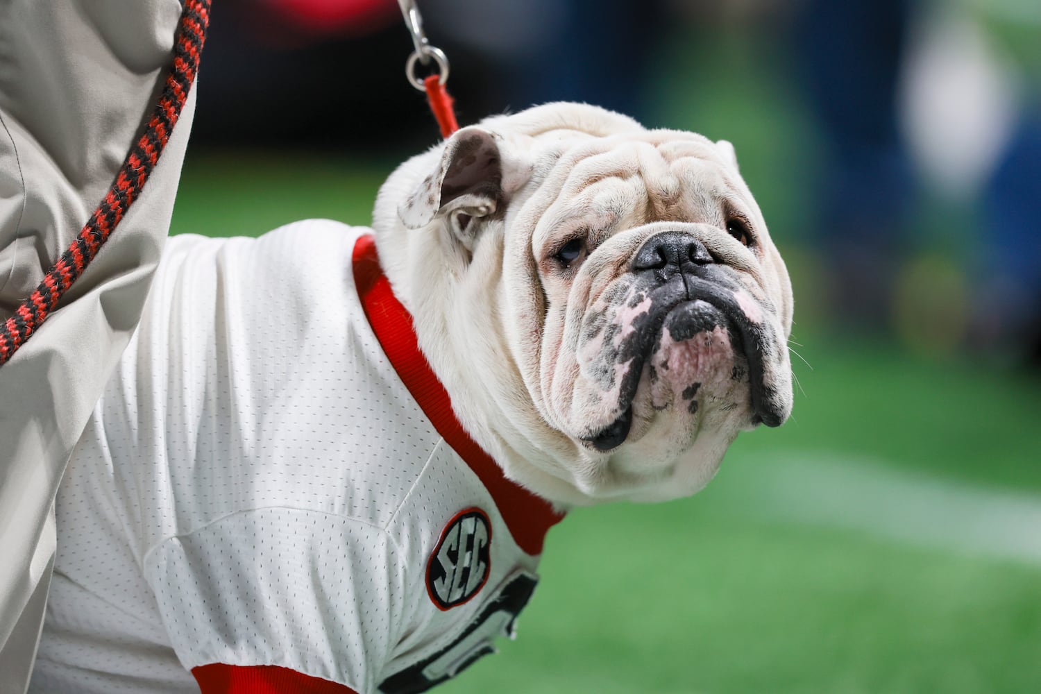 aajc 120625 seccg photo assignment