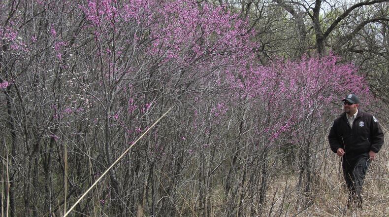 Adam Murray, a Cross Timbers State Park ranger, walks near the Chautauqua Hills Trail near Toronto Reservoir on April 7, 2017. (Michael Pearce/Wichita Eagle/TNS)