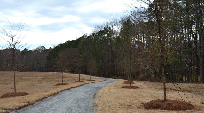 Milton recently celebrated Arbor Day by planting 13 winged elm trees, along a new trail at Milton City Park and Preserve. COURTESY CITY OF MILTON