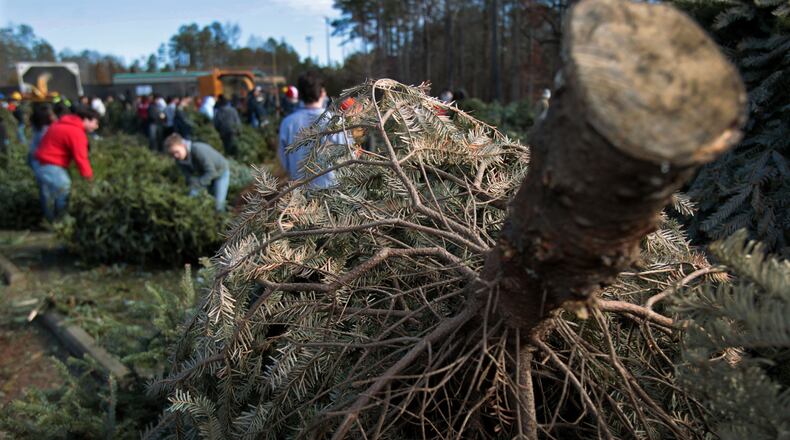 Check out where and when to participate in the “Bring one for the Chipper” recycling program.