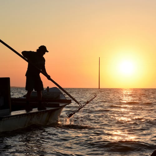 FILE - The work day begins early for oyster harvesters on May 25, 2016, in the Florida panhandle's Apalachicola Bay. (Taimy Alvarez/South Florida Sun-Sentinel via AP, File)