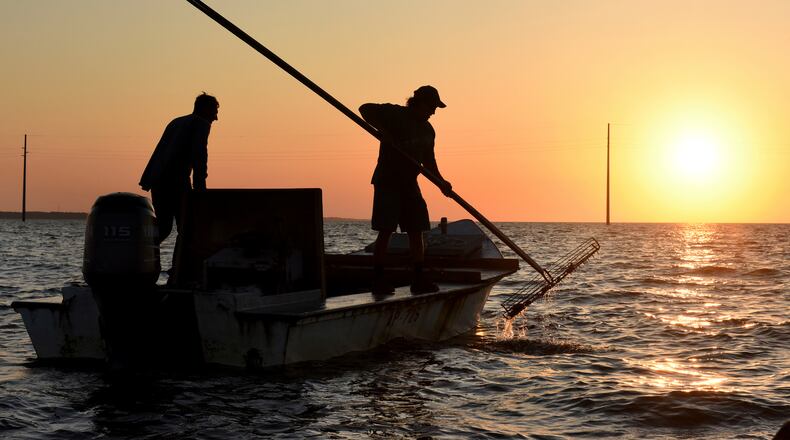 FILE - The work day begins early for oyster harvesters on May 25, 2016, in the Florida panhandle's Apalachicola Bay. (Taimy Alvarez/South Florida Sun-Sentinel via AP, File)