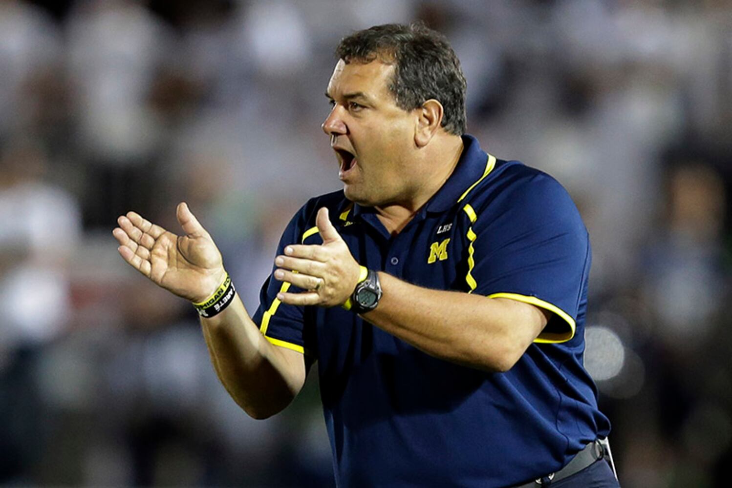 Brady Hoke, Michigan