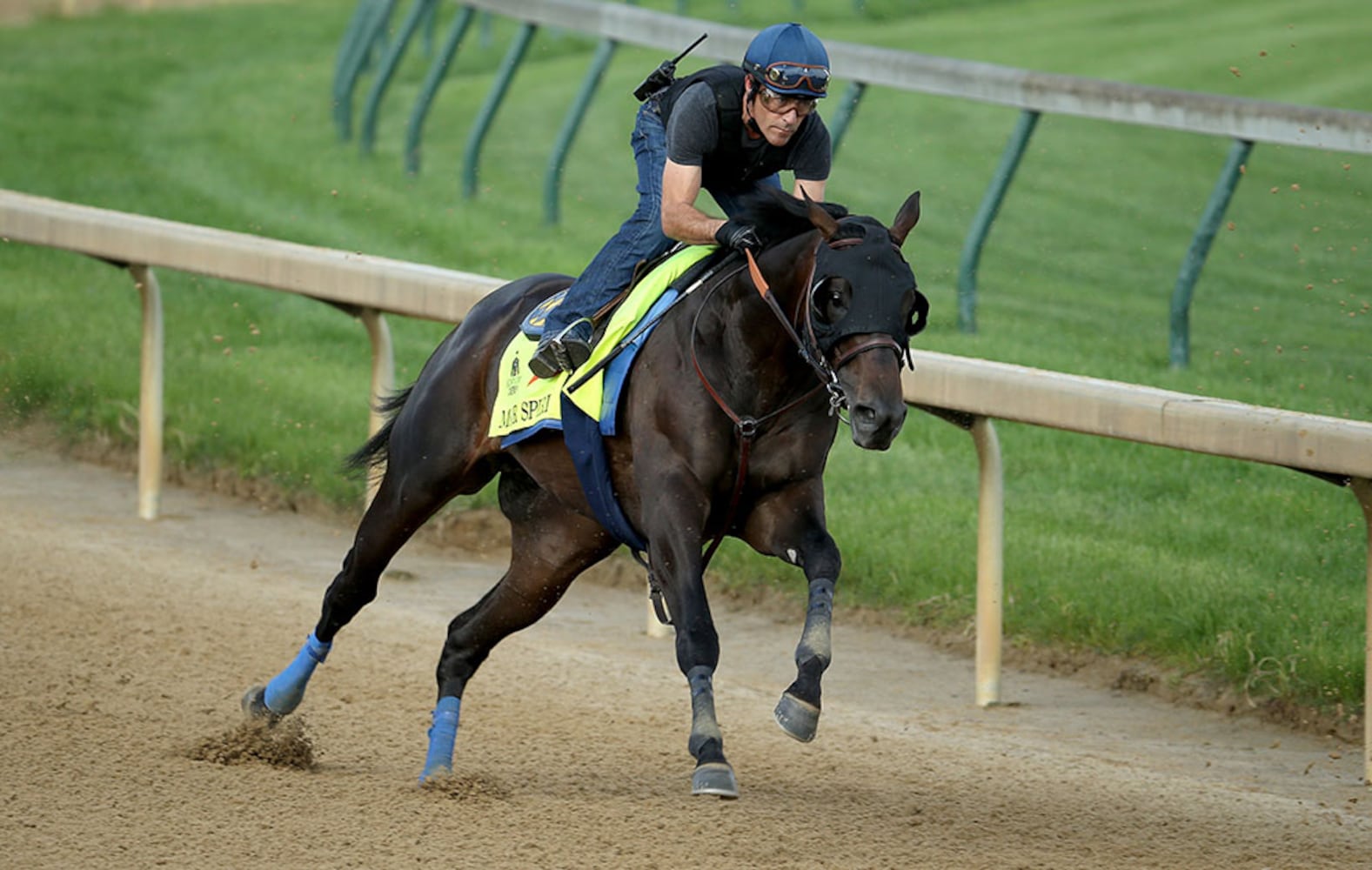 2016 Kentucky Derby field