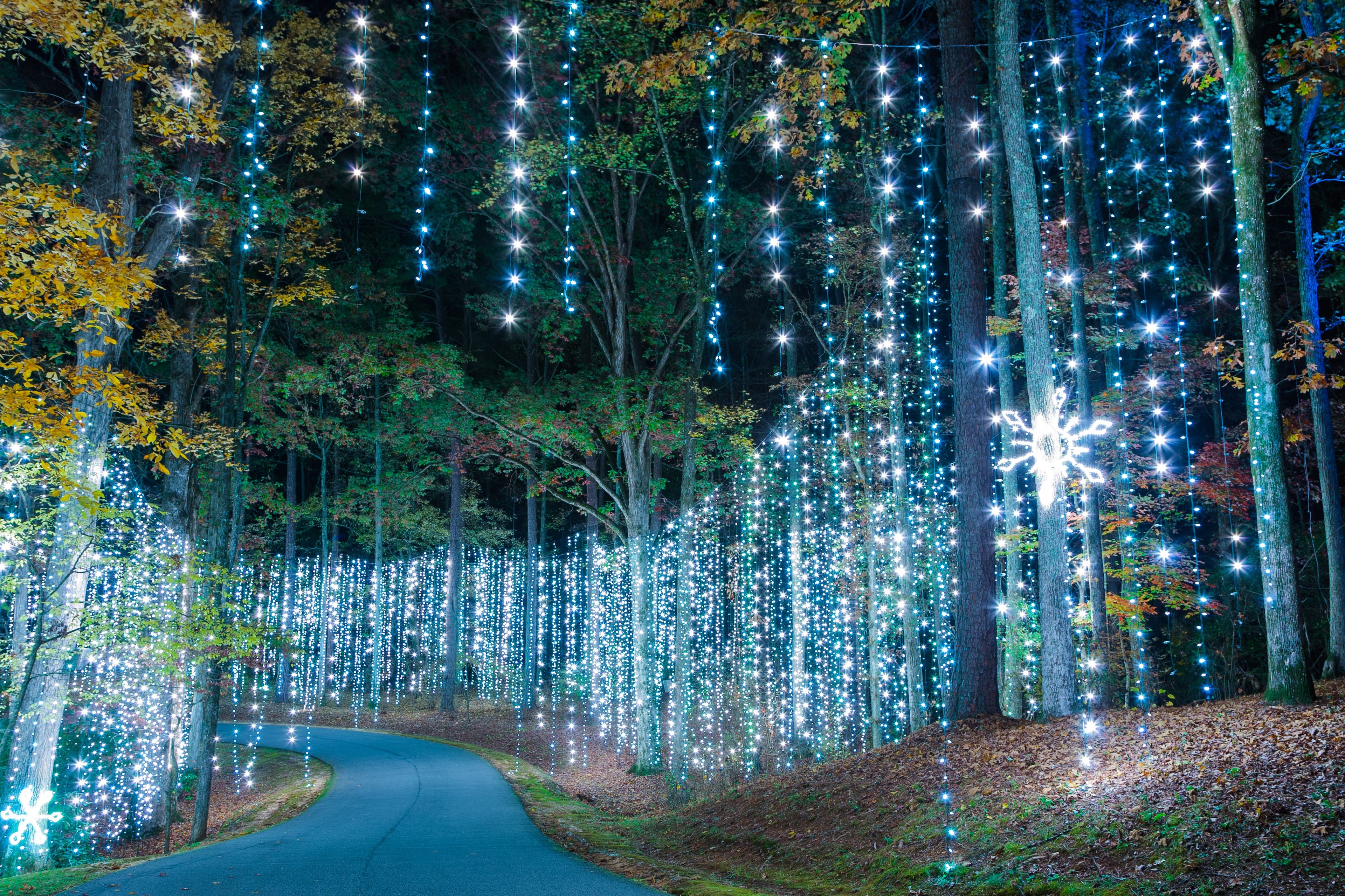 Callaway Gardens’ Fantasy in Lights has been named one of the country’s most spectacular holiday light shows by Forbes magazine. The lights can be viewed through Jan. 4. (Courtesy of Callaway Gardens)