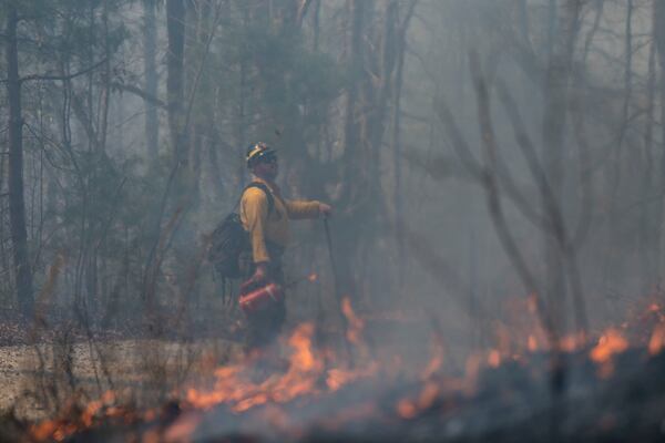 A firefighter lights a protective backburn fire to control the Black Cove Fire Wednesday, March 26, 2025, in Saluda, N.C.. (AP Photo/Allison Joyce)