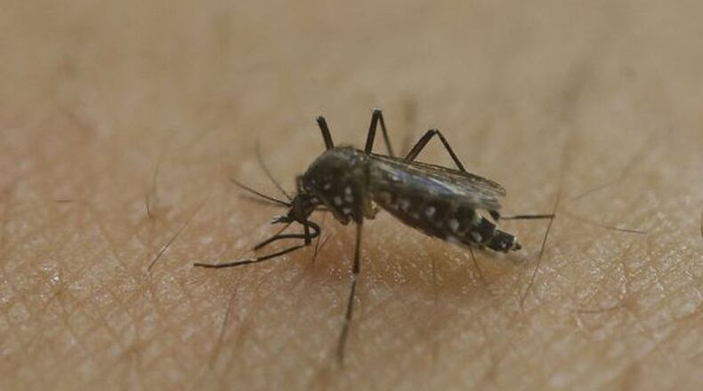The city of Atlanta will increase efforts to keep mosquitoes at bay and prevent mosquito-born illnesses. AJC file photo