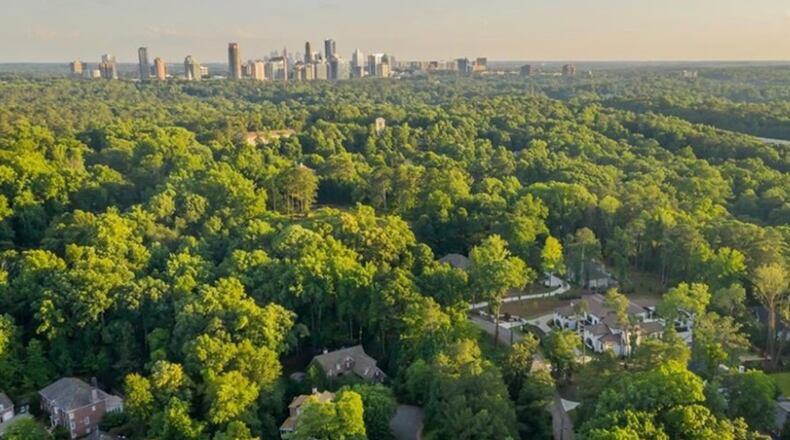 Sandy’s Springs's commitment to tree preservation, care, and reforestation programs has earned the city two awards. (Courtesy City of Sandy Springs)