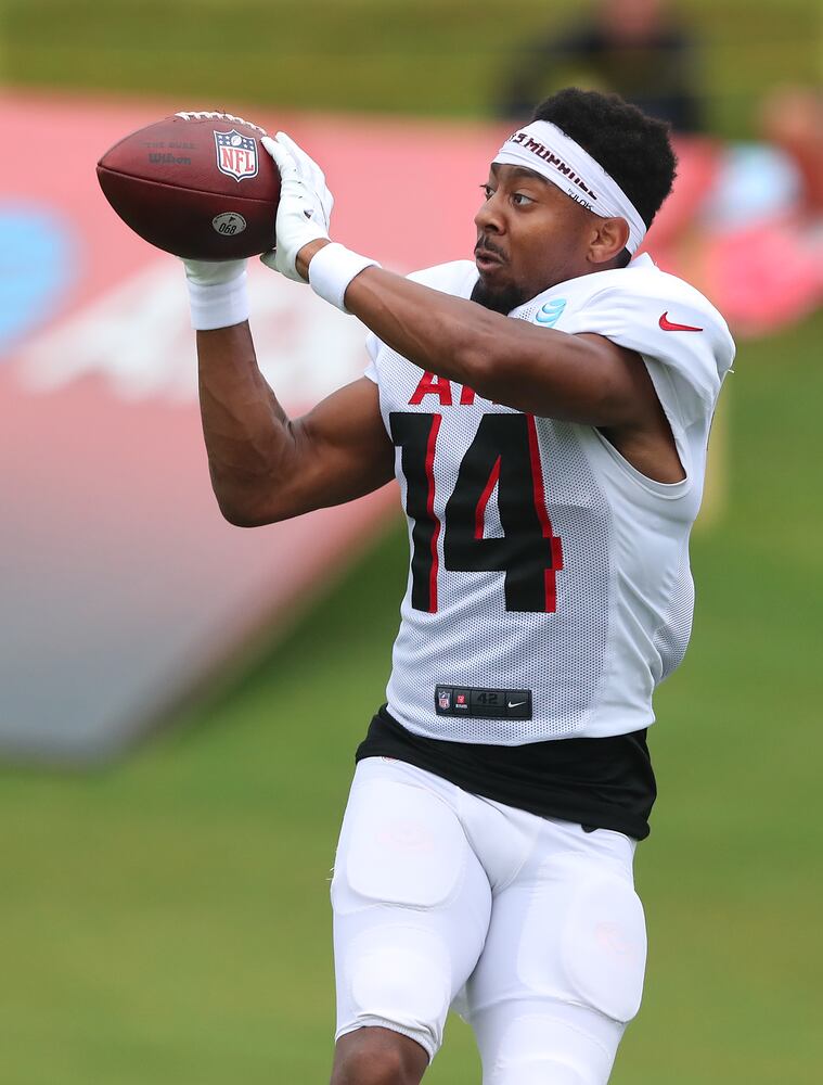 FALCONS PHOTO