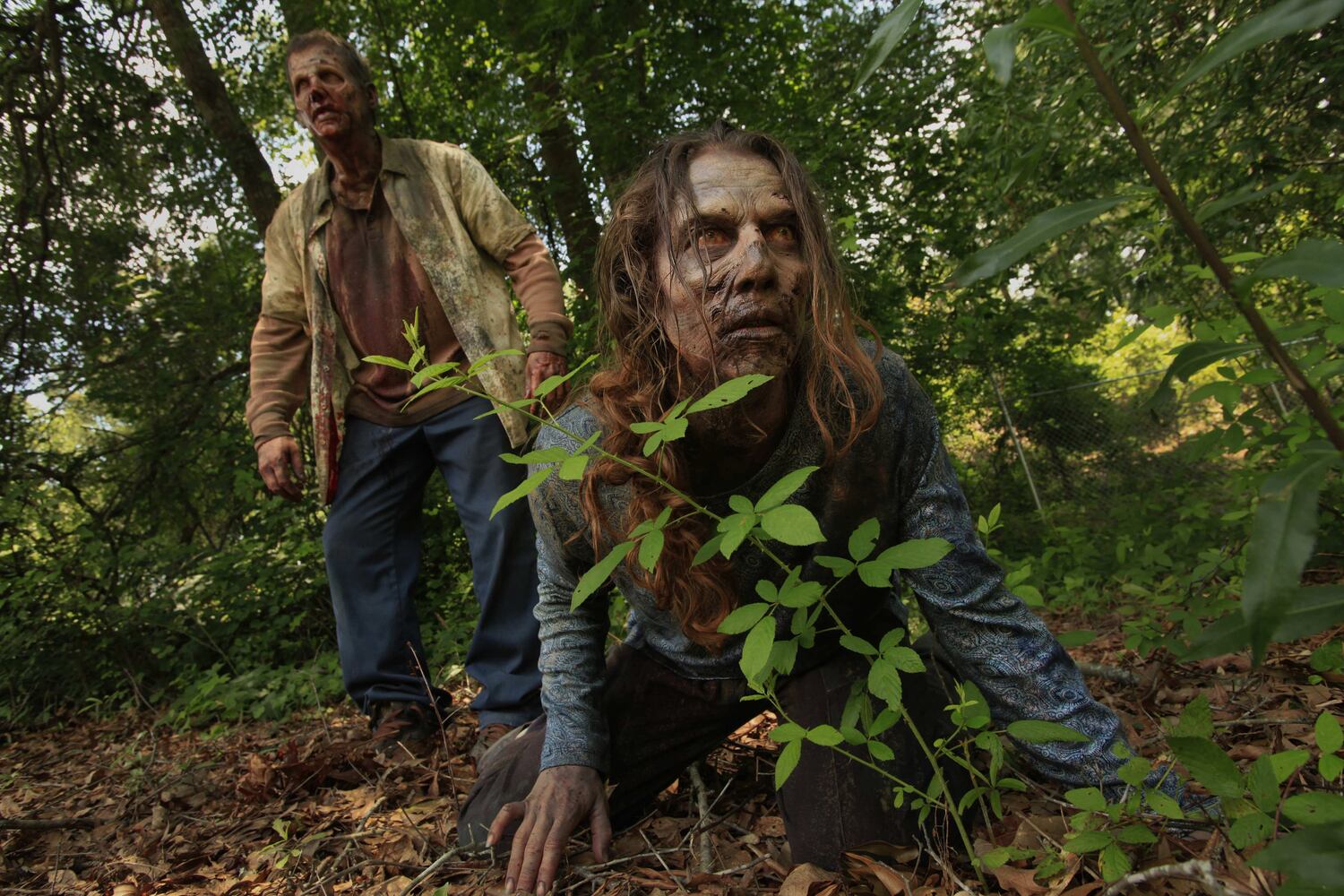 Fans gear up for Season 3