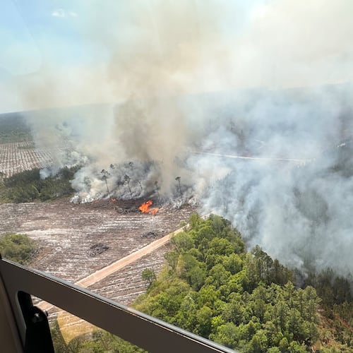 The photo provided by the Office of Gov. Brian Kemp shows smoke produced from a wildfire in Brantley County, Ga., Friday, April 24, 2026. (Office of Gov. Brian Kemp via AP)