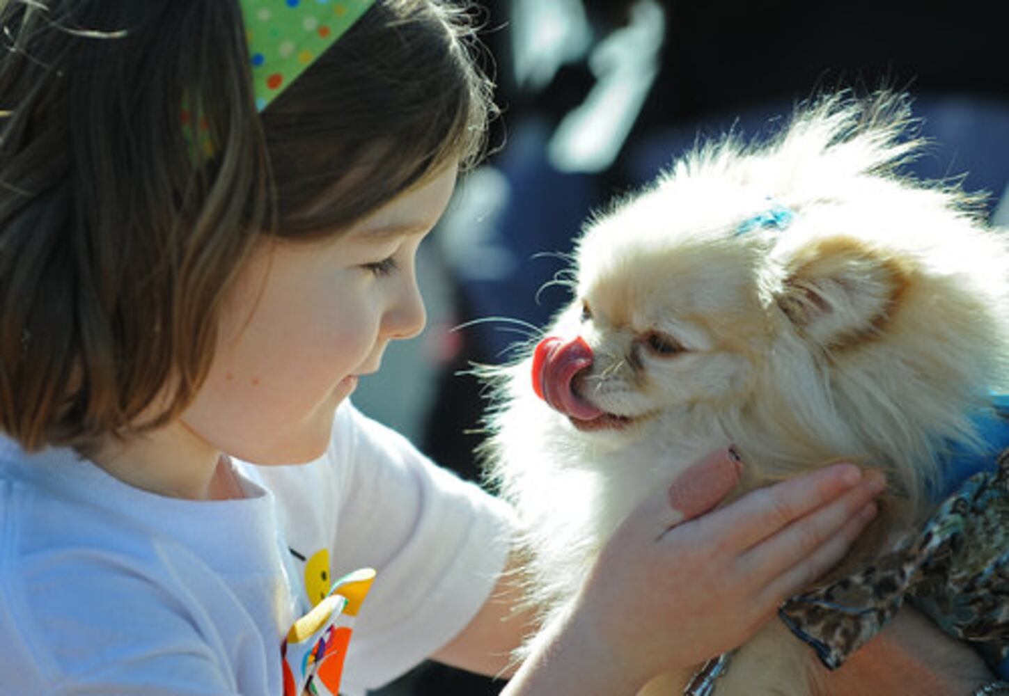 Pooches strut their stuff for Disney movie audition