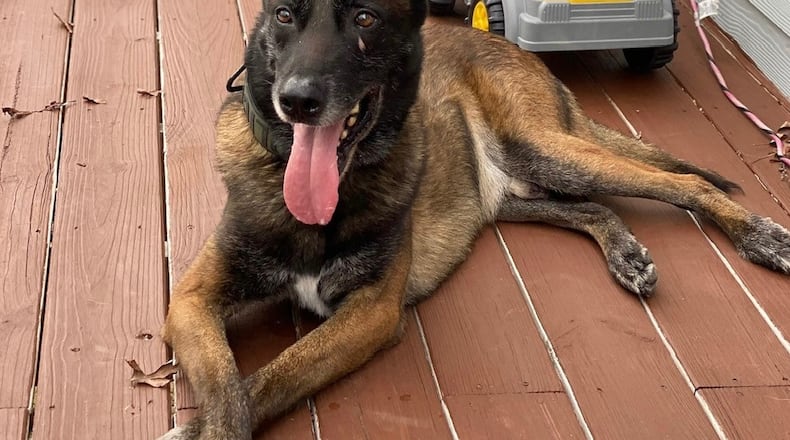 Marietta K-9 Officer Jacquo is taking a break upon his retirement after 7 years with the Marietta Police Department. (Courtesy of Marietta Police)