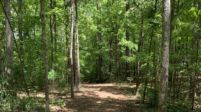The Milton City Council is to discuss Monday a draft Community Trail Prioritization Plan for Birmingham Park (pictured) and other city green space. CITY OF MILTON