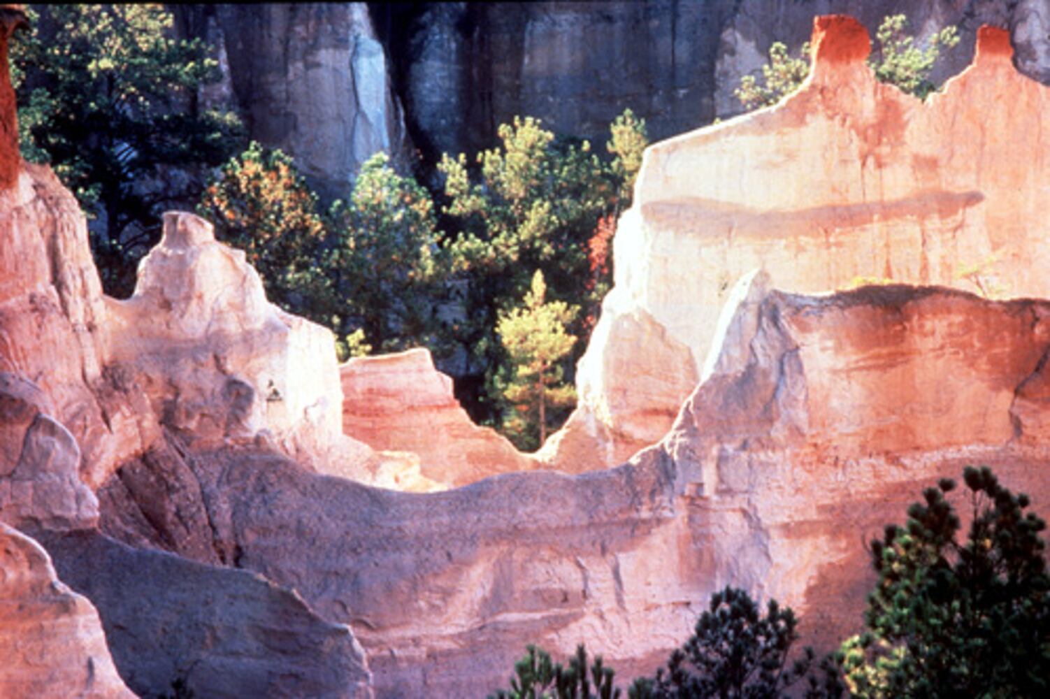 A snapshot of Georgia's Natural Wonders