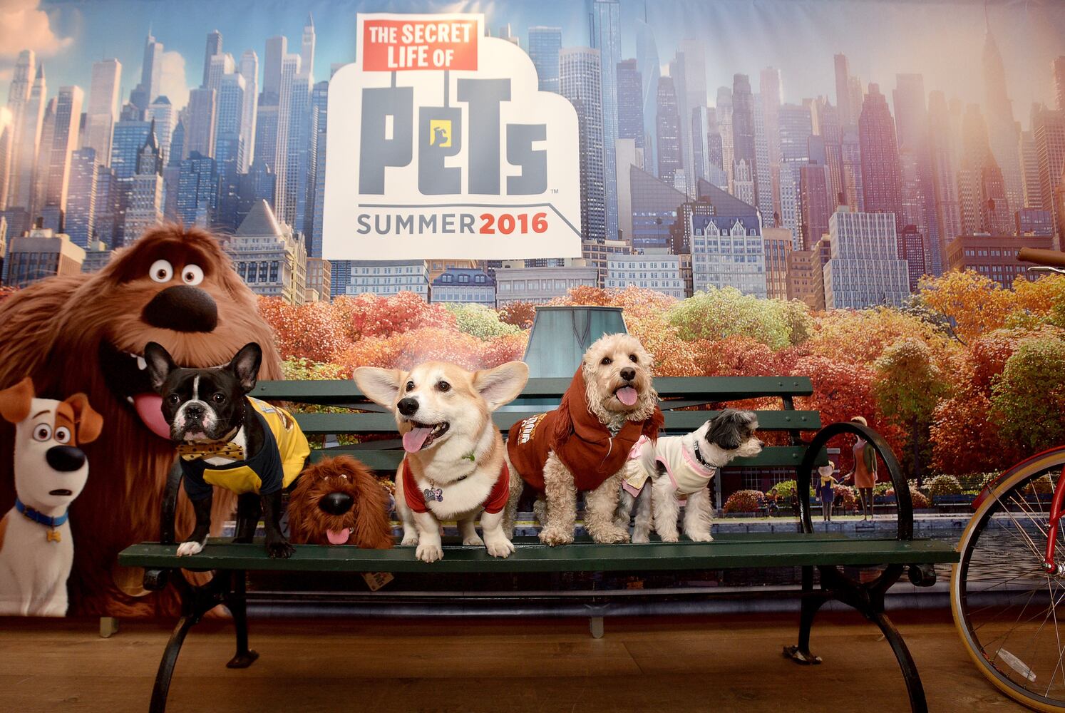 2016 International Toy Fair