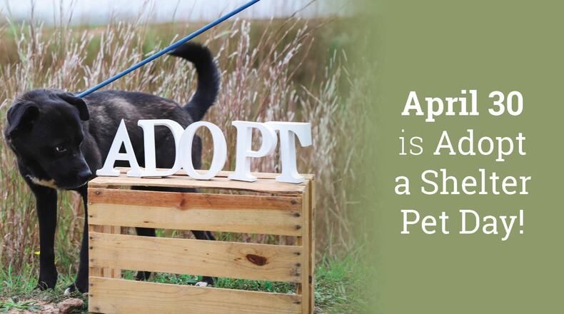 Reduced pet adoption fees available at Gwinnett animal shelter during April. Courtesy Gwinnett Animal Welfare Shelter