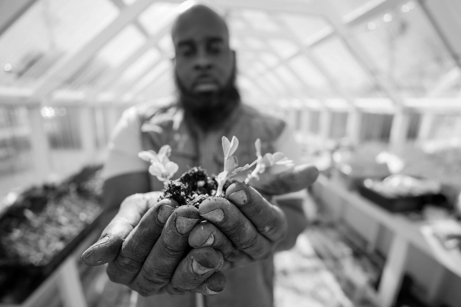 Bread and Butter Farm