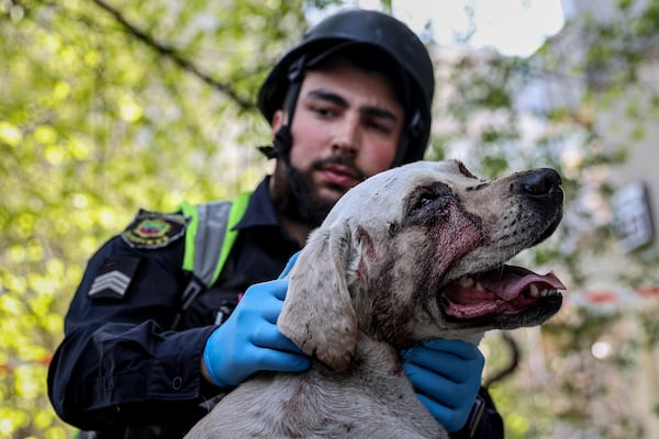 A police officer calms an injured dog near a multi-storey building damaged by a Russian strike on residential neighbourhood in Zaporizhzhia, Ukraine, on Tuesday, April 22, 2025. (AP Photo/Kateryna Klochko)