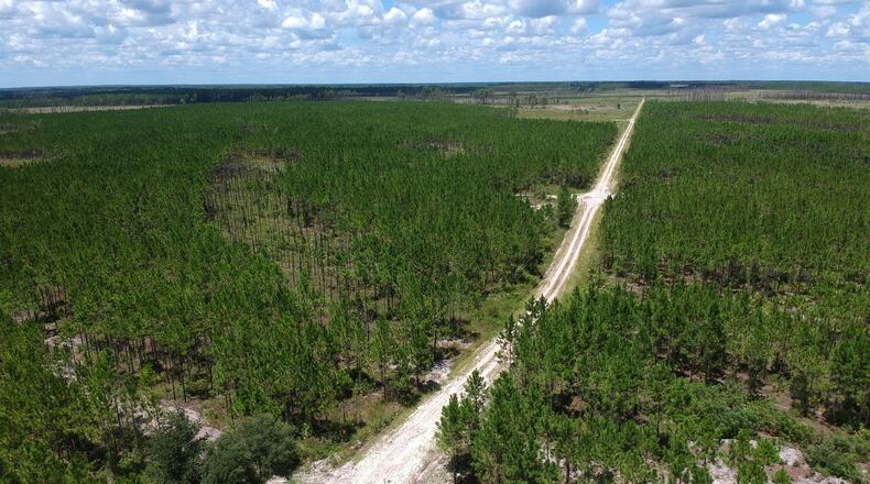 Twin Pines Minerals wants to set up a mining operation on Trail Ridge about 4 miles from the Okefenokee Swamp. Aerial photography shows a portion of Trail Ridge and the proposed mining site located north of Ga. 94 and the southeastern edge of the Okefenokee Swamp (background) in Saint George. Environmental advocates are concerned about the potential impact of mining on the swamp and St. Marys River. HYOSUB SHIN / HYOSUB.SHIN@AJC.COM