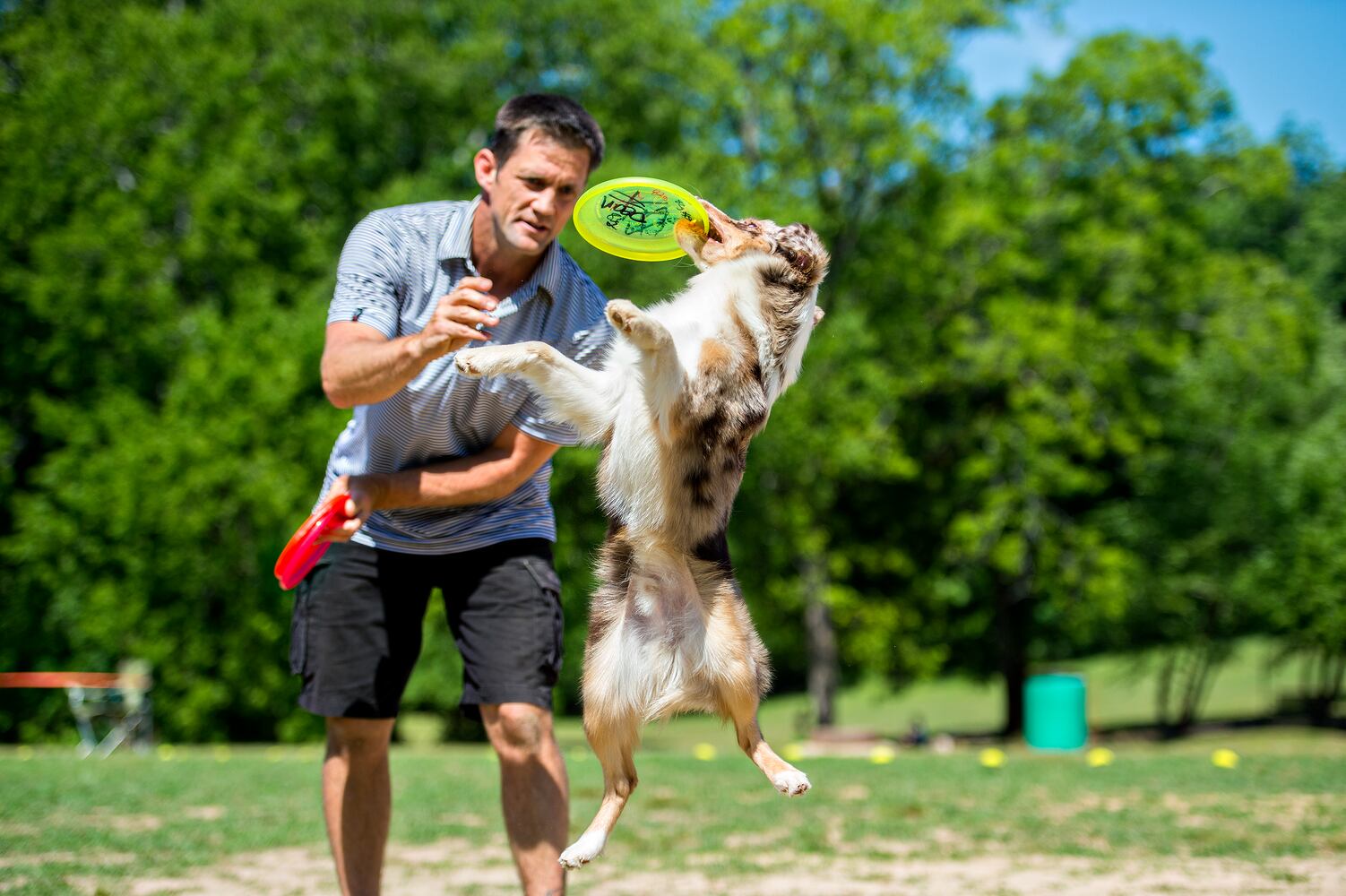Bark at the Park 2015