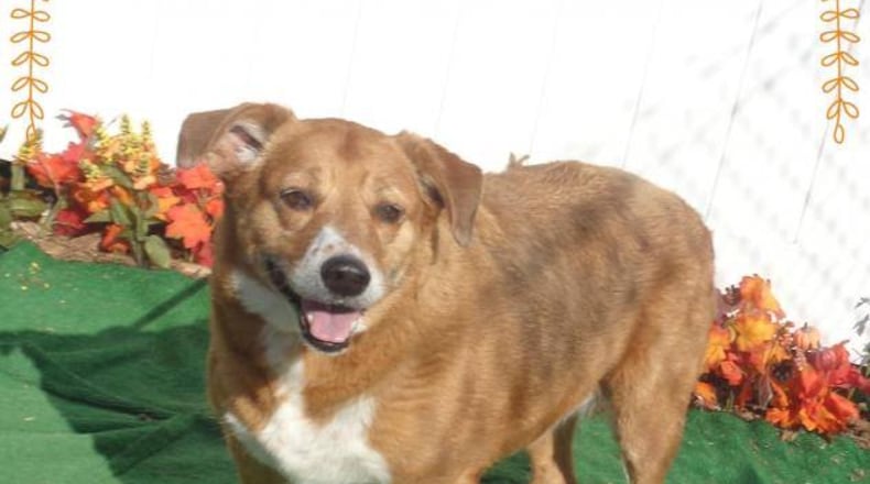 Leila has a new home.