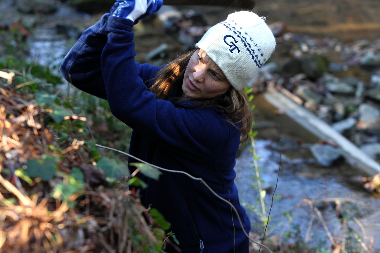 Volunteering on MLK Holiday, Jan. 18, 2016