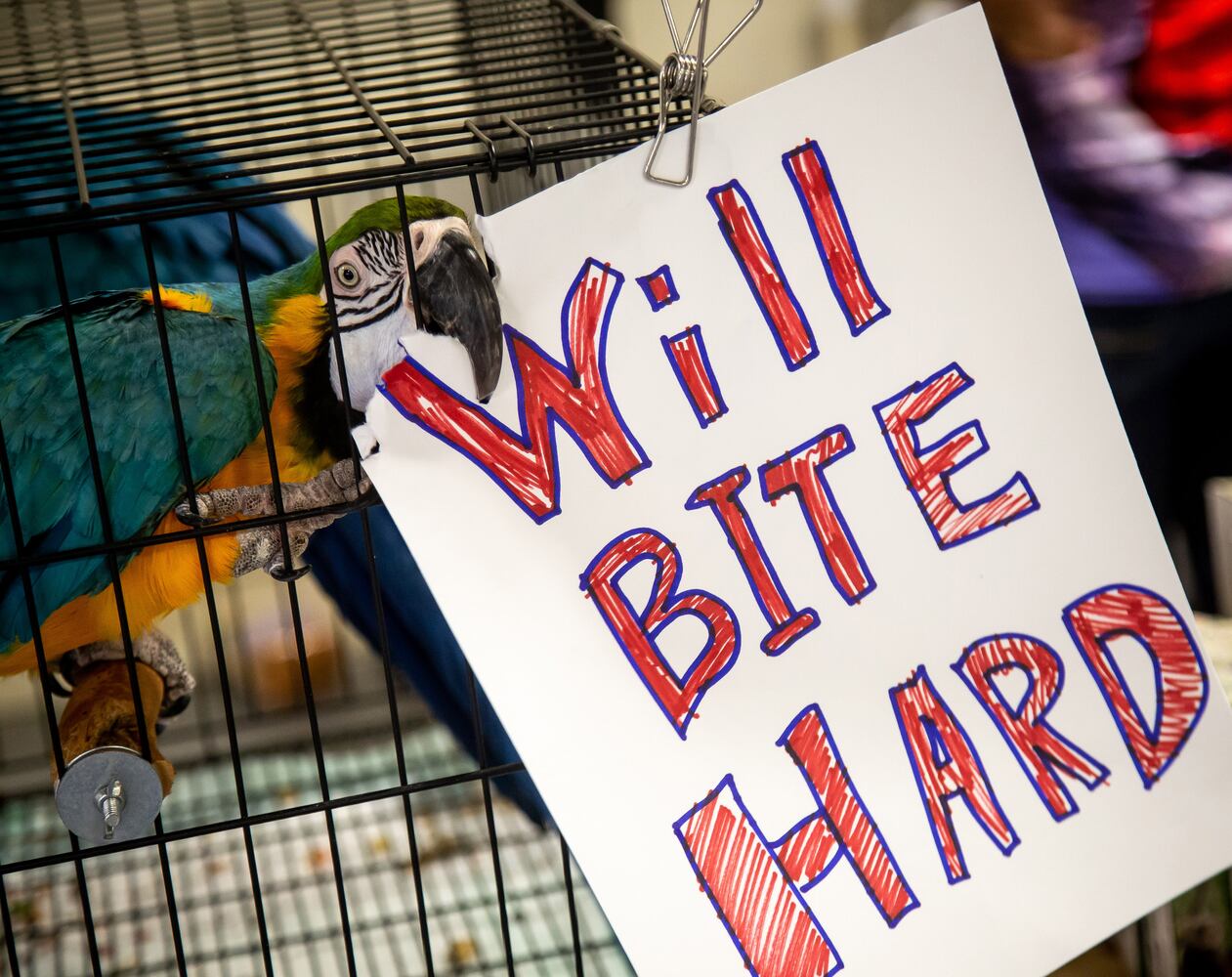 PHOTOS: SA Exotic birds