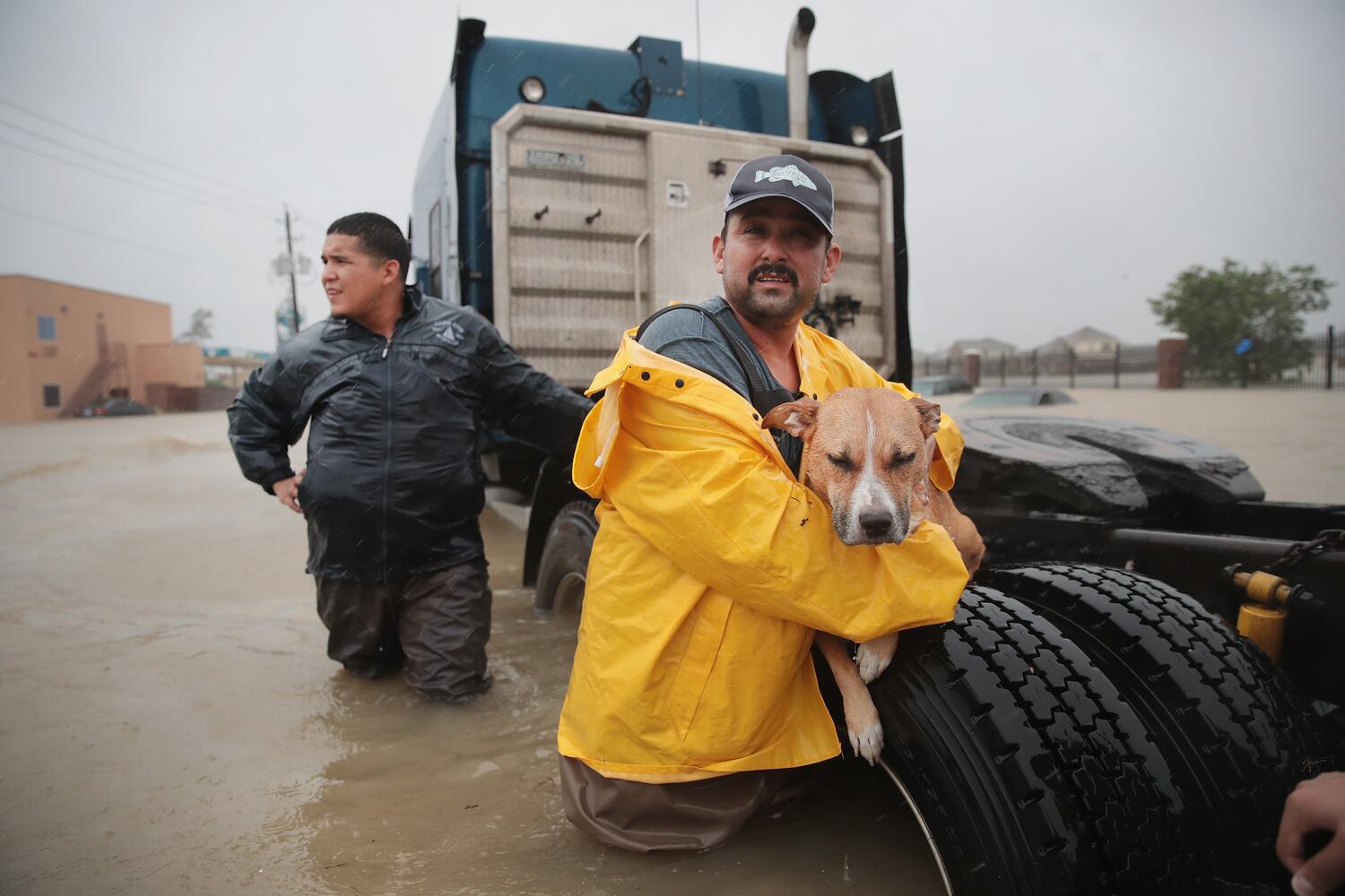 Photos: Harvey’s impact on people and their pets