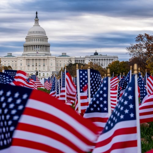 Miniature American flags flutter in wind gusts across the National Mall near the Capitol in Washington, Monday, Nov. 10, 2025. (AP Photo/J. Scott Applewhite)