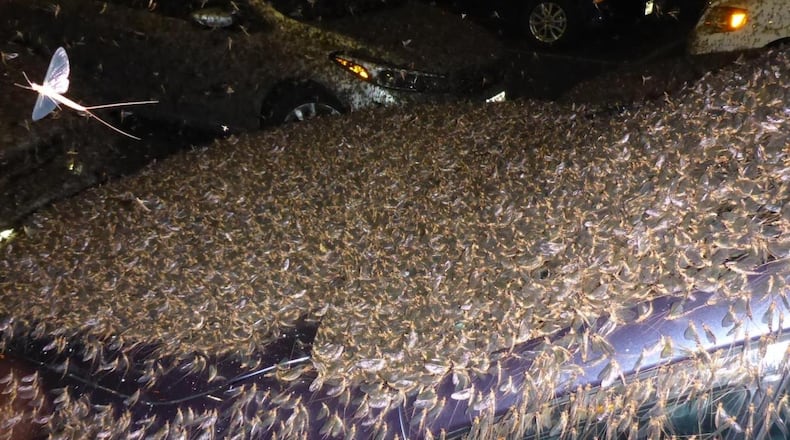 The National Weather Service captured an image of a swarm of mayflies in La Crosse, Wisconsin in 2017.