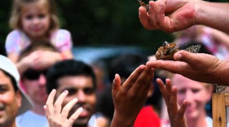 Henning von Schmeling, the Chattahoochee Nature Center's operations director, releases butterflies during the Flying Colors Butterfly Festival. CONTRIBUTED BY CHATTAHOOCHEE NATURE CENTER