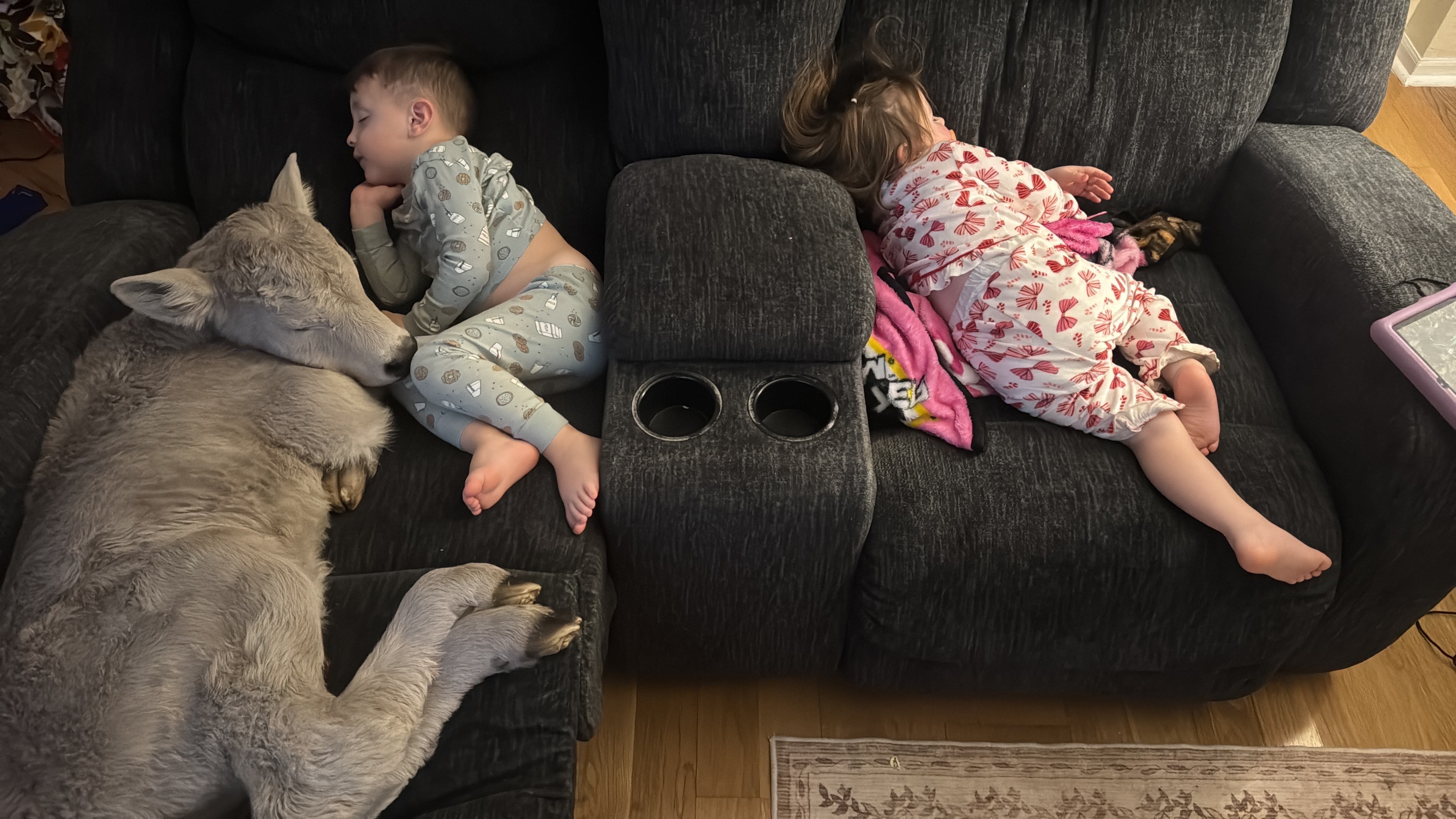 See, these babies know how to relax!