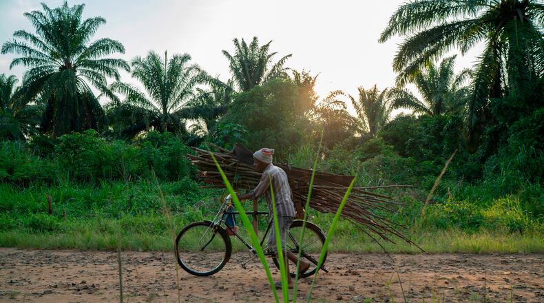 FILE - A man carries wood on his bicycle as he rides past a cemetery in Beni, Congo, Tuesday, July 16, 2019. (AP Photo/Jerome Delay, file)