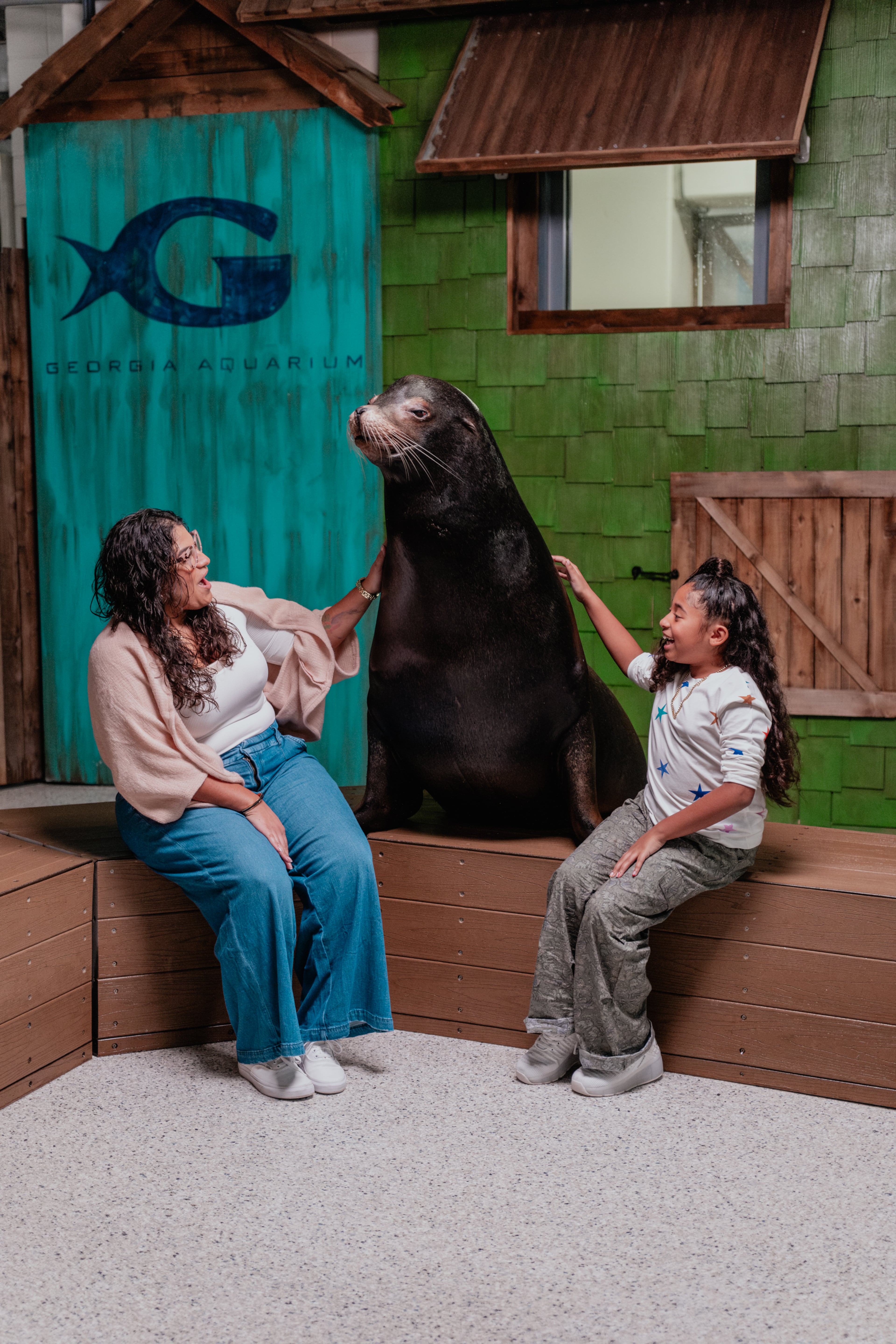 Georgia Aquarium visitors pet a sea lion in Georgia Aquarium's Truist Pier 225 Sea Lion Exhibit, which opened in 2016.