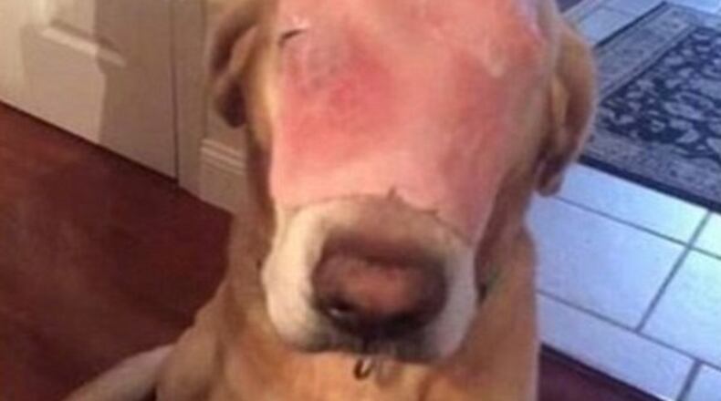 Photo credit: Stephen Roseman via Facebook