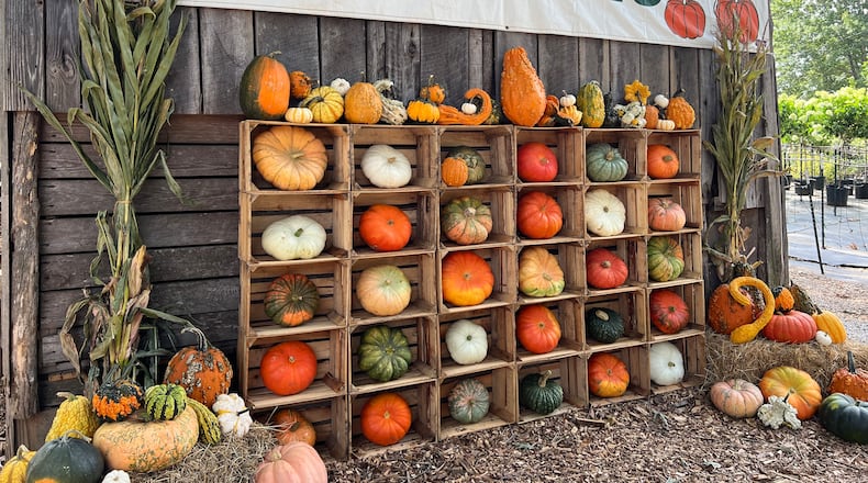 Truth in advertising: Yes, they've got pumpkins aplenty, as the sign proclaims, at Scottsdale Farms in Milton. Courtesy of Scottsdale Farms