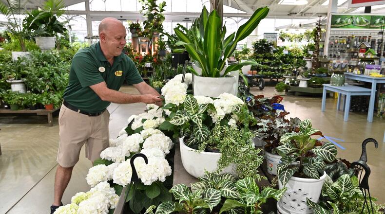 Michael Chapman, vice president of visual merchandising, arranges plants before the store will reopen on Friday at Pike Nurseries’ Lindbergh location on Thursday, April 30, 2020. (Hyosub Shin / Hyosub.Shin@ajc.com)