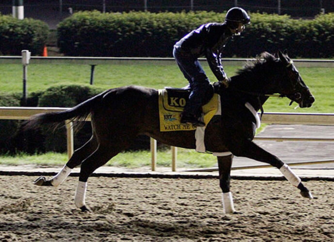 Kentucky Derby field 2011