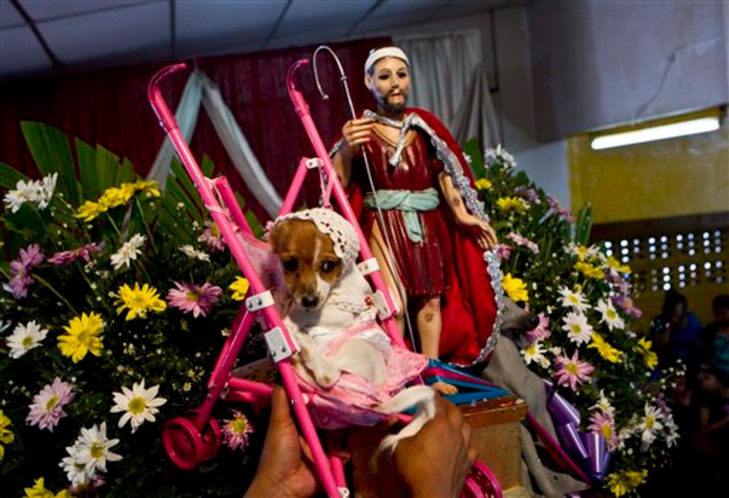 Week in photos - March 22, 2013