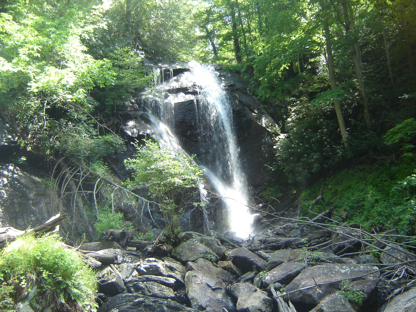 Anna Ruby Falls