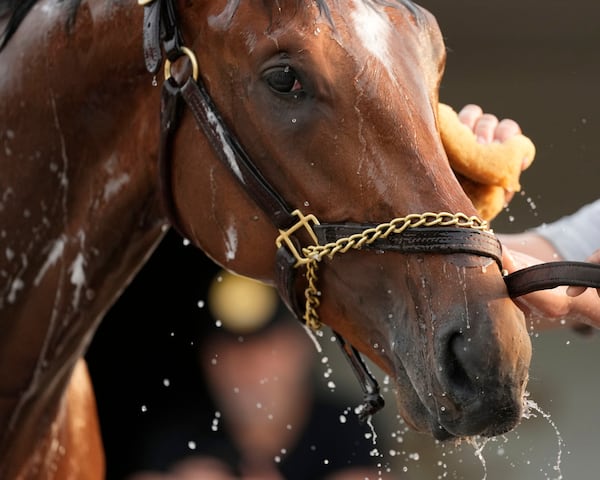 Kentucky Derby entrant Journalism gets a bath after a workout at Churchill Downs Tuesday, April 29, 2025, in Louisville, Ky. (AP Photo/Charlie Riedel)