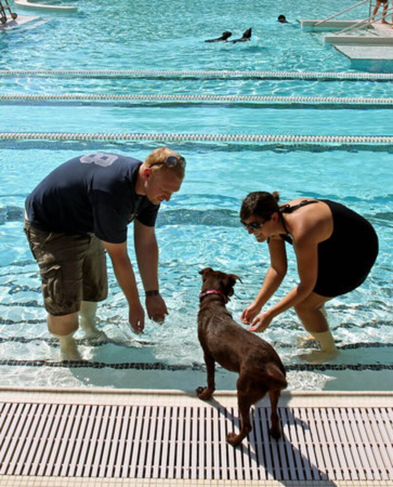 Atlanta's Splish Splash Doggie Bash